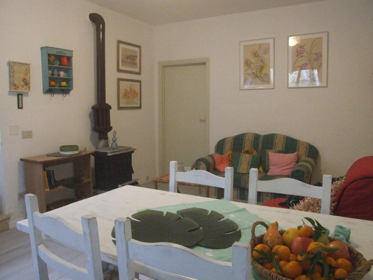Vacanze Toscane In The Country - Villa Agrifogli 萨塞塔 外观 照片