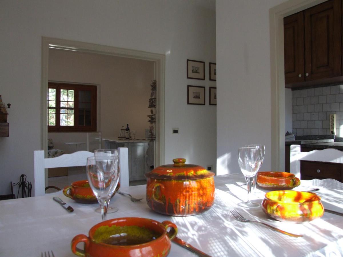Vacanze Toscane In The Country - Villa Agrifogli 萨塞塔 外观 照片