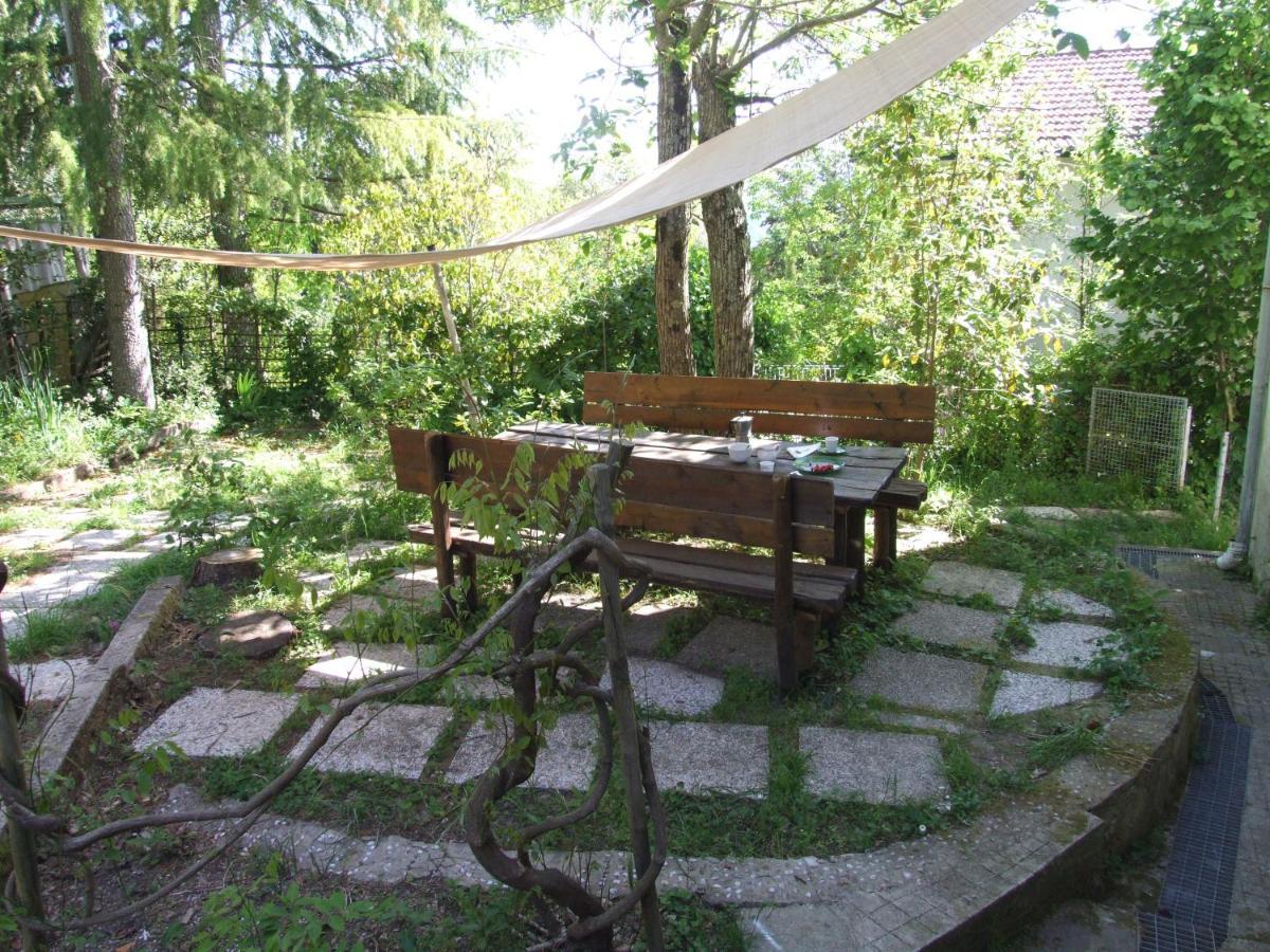 Vacanze Toscane In The Country - Villa Agrifogli 萨塞塔 外观 照片