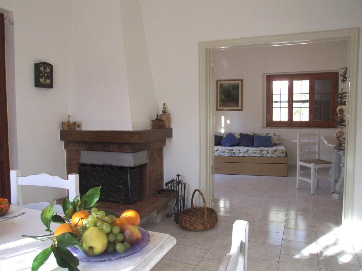 Vacanze Toscane In The Country - Villa Agrifogli 萨塞塔 外观 照片