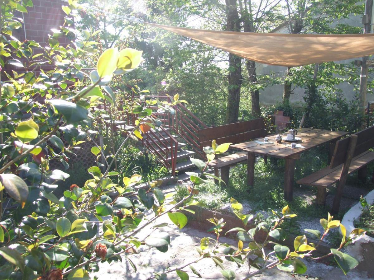 Vacanze Toscane In The Country - Villa Agrifogli 萨塞塔 外观 照片