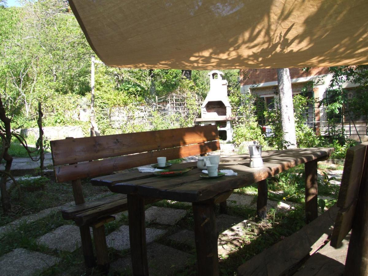 Vacanze Toscane In The Country - Villa Agrifogli 萨塞塔 外观 照片