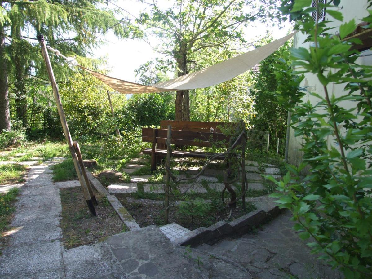 Vacanze Toscane In The Country - Villa Agrifogli 萨塞塔 外观 照片