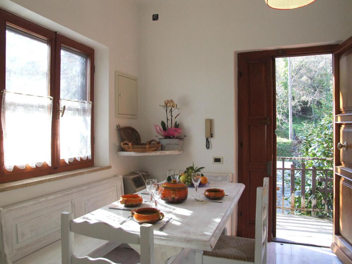 Vacanze Toscane In The Country - Villa Agrifogli 萨塞塔 外观 照片