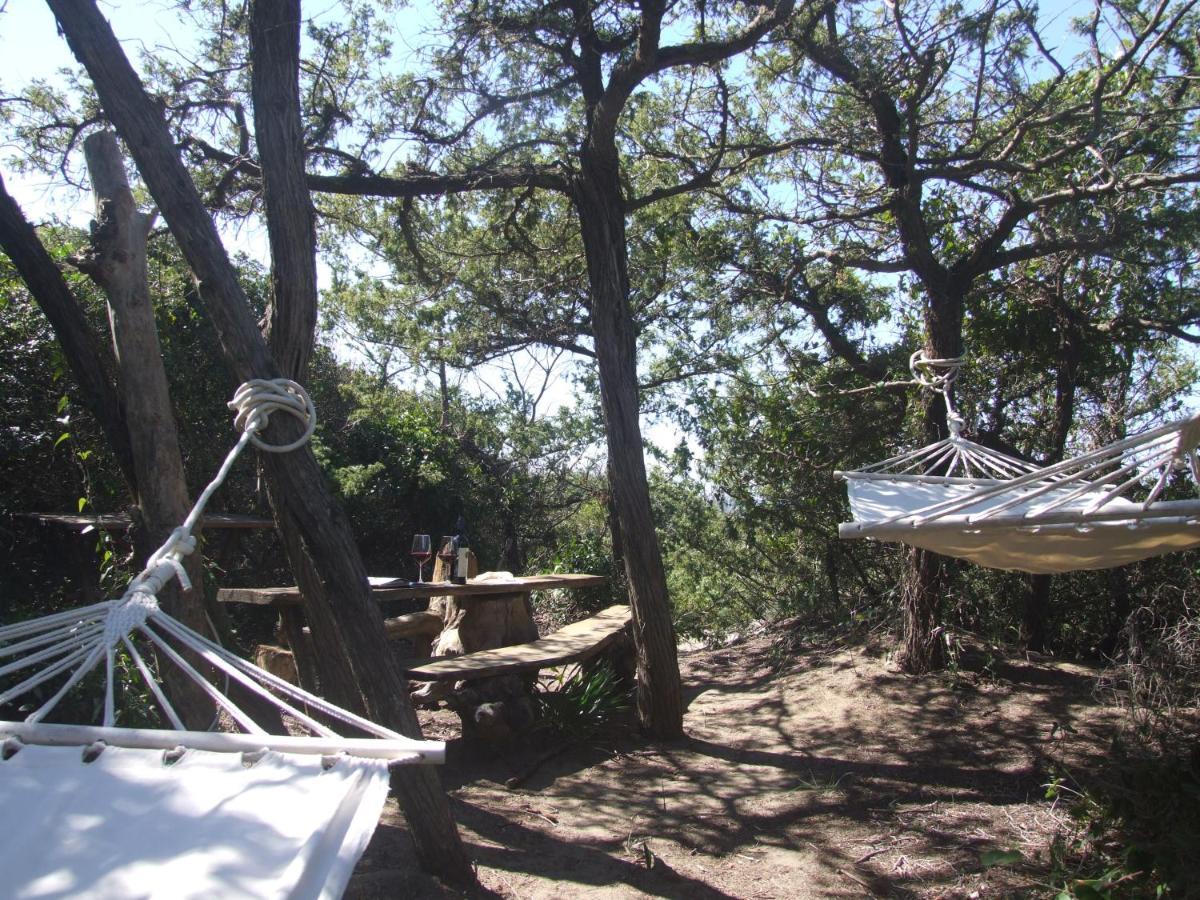 Vacanze Toscane In The Country - Villa Agrifogli 萨塞塔 外观 照片